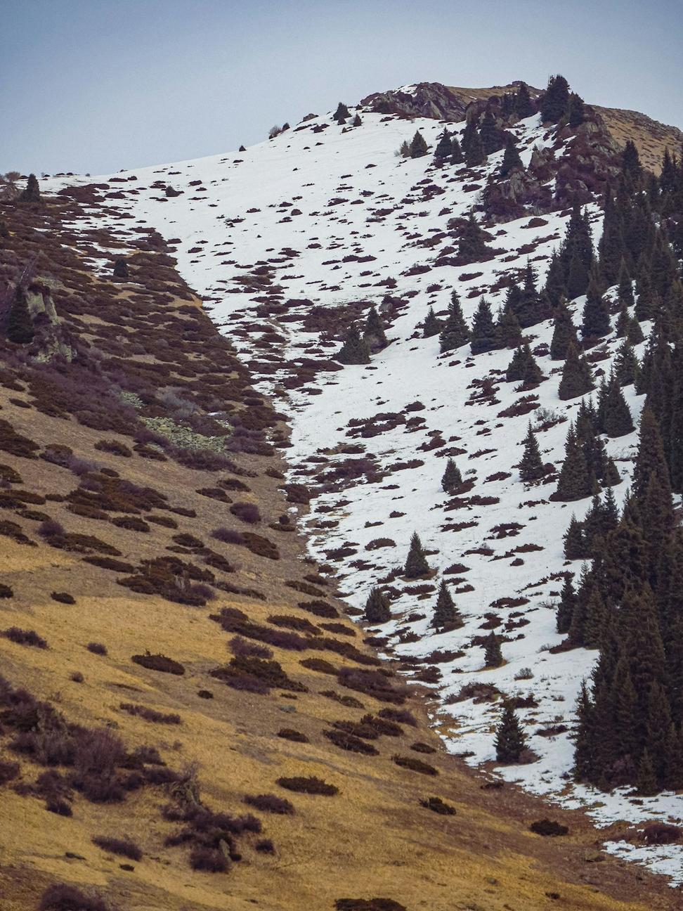 Kootenay Alpine before construction