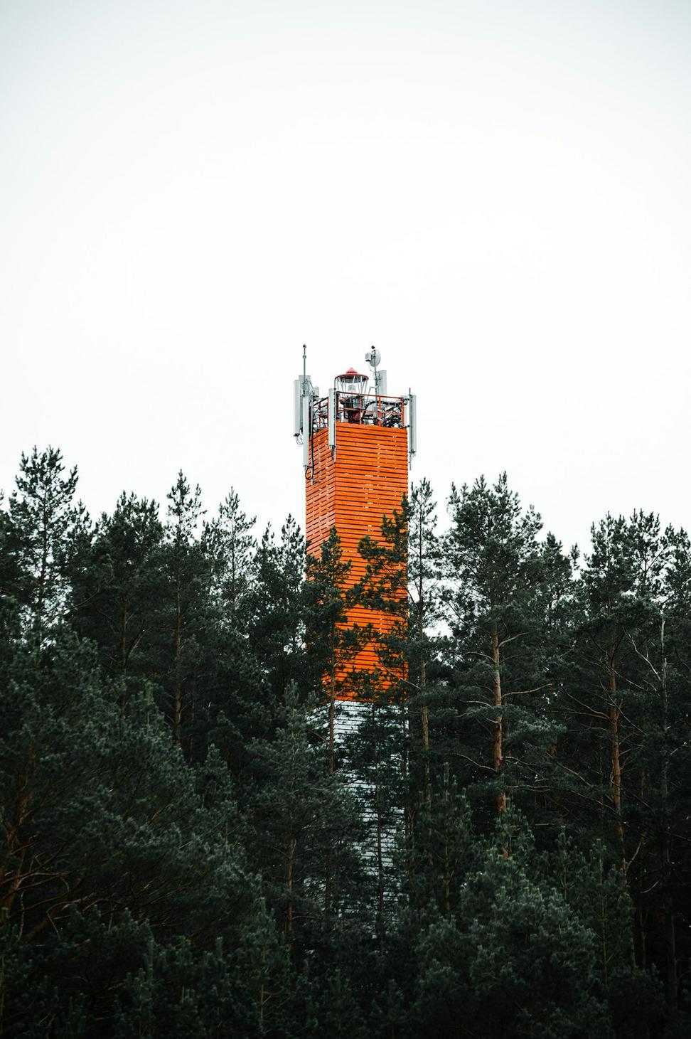 Wildlife Observatory