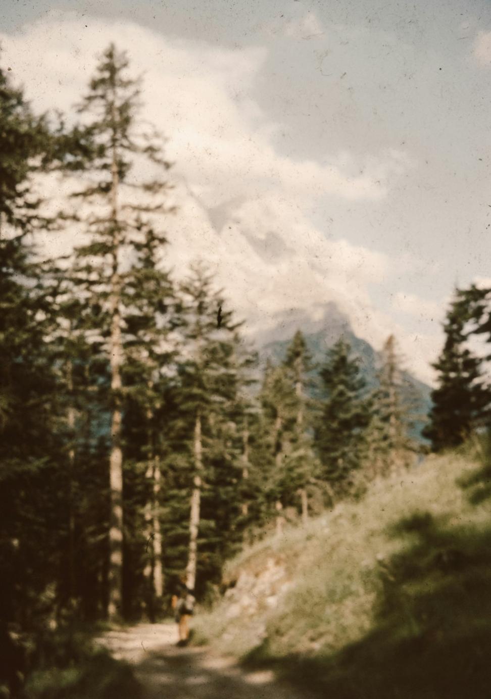 Whistler Ridge before construction