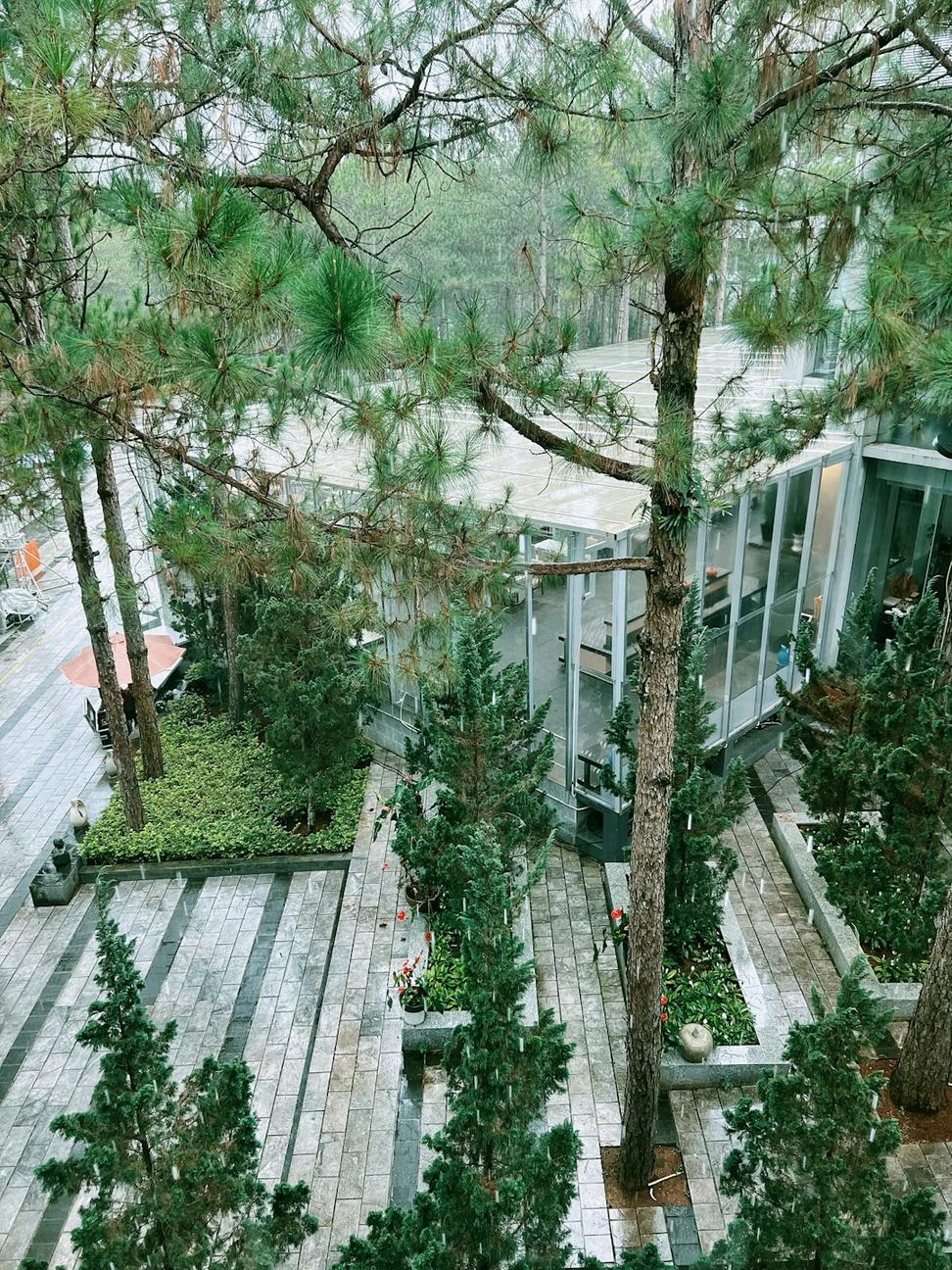 Outdoor observation structure