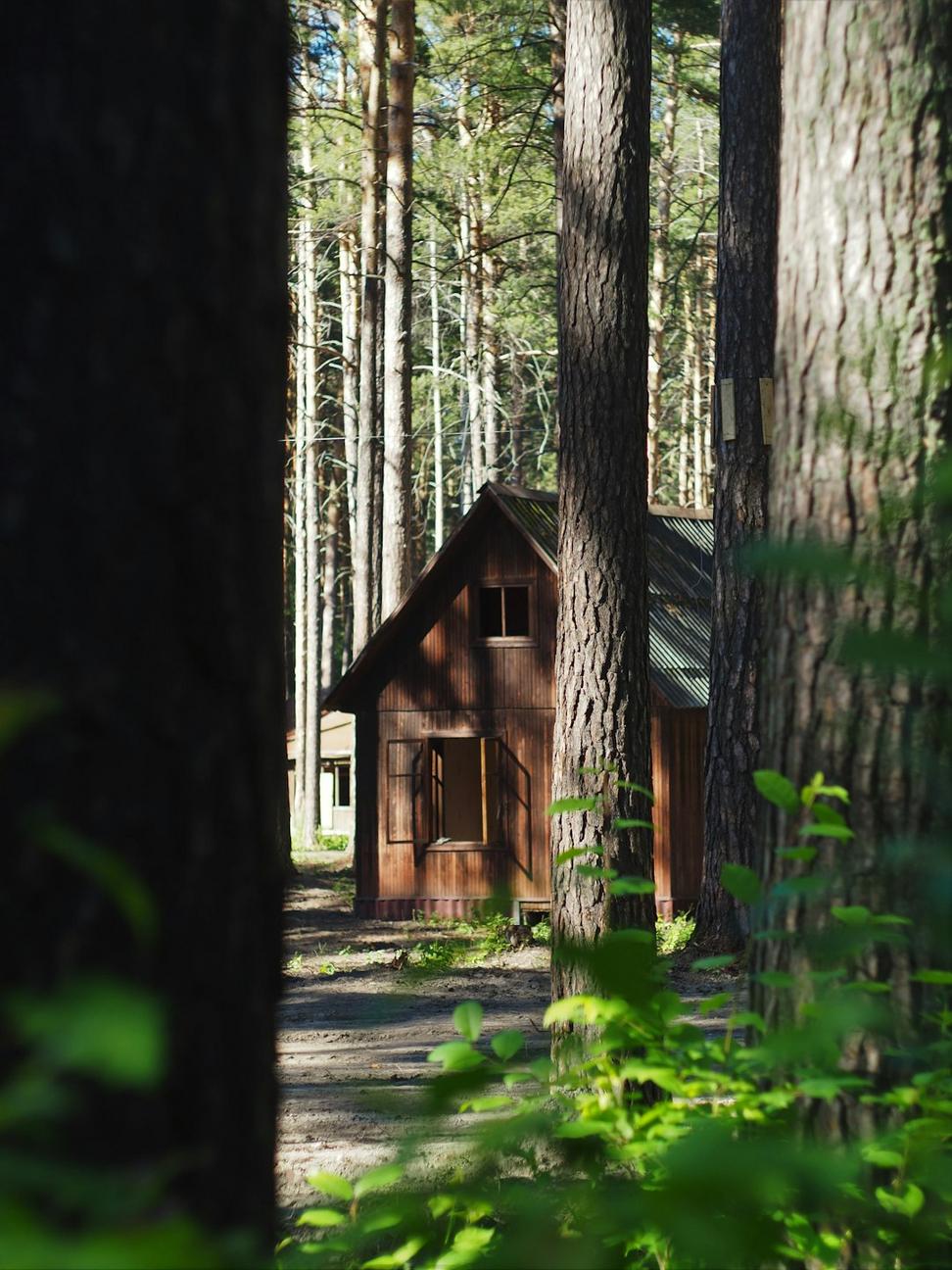 Sustainable cabin in forest