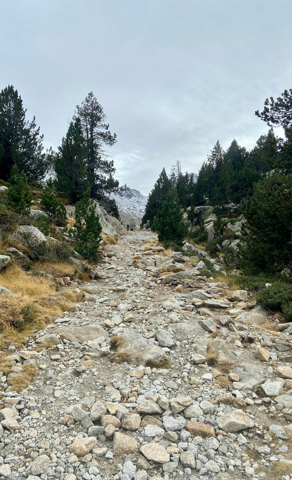 Trail System